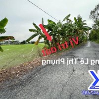 Thửa Đất 25X131M Mặt Tiền Đường Lê Thị Phụng, Xã Mỹ Ngãi, Thành Phố Cao Lãnh, Đồng Tháp