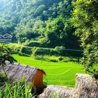 Bán Khu Nghỉ Dưỡng Pu Luong Riverside Lodge