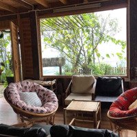 Cần Bán Homestay Tả Van Mông View Nhìn Thung Lũng Ruộng Bậc Thang!