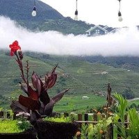 Cần Bán Homestay Tả Van Mông View Nhìn Thung Lũng Ruộng Bậc Thang!