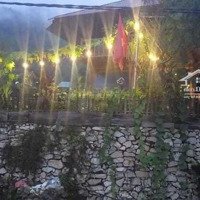 Cần Bán Homestay Tả Van Mông View Nhìn Thung Lũng Ruộng Bậc Thang!