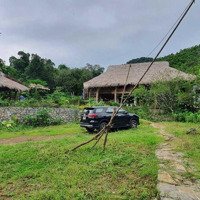 Chính Chủ Cần Bán Gấp Homestay Trang Trại, Khu Nghỉ Dưỡng Tại Đà Bắc Hòa Bình