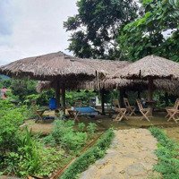 Chính Chủ Cần Bán Gấp Homestay Trang Trại, Khu Nghỉ Dưỡng Tại Đà Bắc Hòa Bình