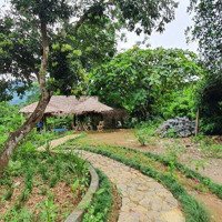 Chính Chủ Cần Bán Gấp Homestay Trang Trại, Khu Nghỉ Dưỡng Tại Đà Bắc Hòa Bình