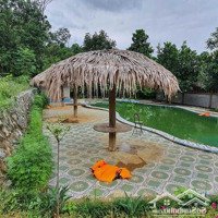 Chính Chủ Cần Bán Gấp Homestay Trang Trại, Khu Nghỉ Dưỡng Tại Đà Bắc Hòa Bình