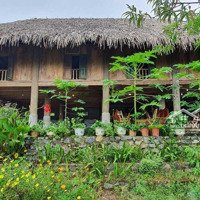 Chính Chủ Cần Bán Gấp Homestay Trang Trại, Khu Nghỉ Dưỡng Tại Đà Bắc Hòa Bình