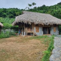 Chính Chủ Cần Bán Gấp Homestay Trang Trại, Khu Nghỉ Dưỡng Tại Đà Bắc Hòa Bình