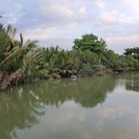 Đất Nông Nghiệp Villas View Sông Long Phước 1.200m2 Chỉ 13 Tỷ Ngon  Bổ Rẻ
