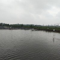 Bán Đấtmặt Tiềnđt862, Xã Tân Thành, Huyện Gò Công Đông; Tiền Giang