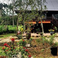 Bán Cắt Lô Căn Homestay Siêu Chill Tại Yên Bình Thạch Thất, Hà Nội Chỉ Hơn 3 Tỷ Bé Xíu Liên Hệ:0984701066