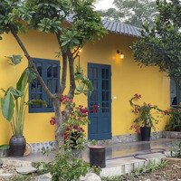 Bán Cắt Lô Căn Homestay Siêu Chill Tại Yên Bình Thạch Thất, Hà Nội Chỉ Hơn 3 Tỷ Bé Xíu Liên Hệ:0984701066