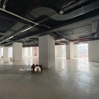 Bql Cần Cho Thuê Văn Phòng Tại Tòa Petrowaco Tower 97 - 99 Láng Hạ Dt: 90 - 1000M2