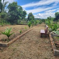 Bán Nhà Vườn Sinh Thái Farmstay Cây Ăn Trái Đẹp Hiếm