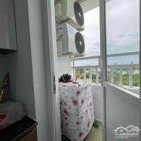 Cho Thuê Chung Cư Phúc Đạt 1 Phòng Ngủ 1 Vệ Sinhfull Nội Thất Lầu Cao View Công Vie