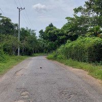 Chủ Gốc Chưa Qua Đầu Tư 500M2 Có 300M2 Đất Ở Mặt Tiền Đường Nhựa 5M.