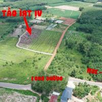 Đất sào đẹp , lên được thổ cư , gần KCN Becamex Chơn Thành , giá gốc 480 triệu .
