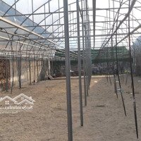 Chính Chủ Cần Bán Kho.diện Tích630M2 (Kho 320M2, 10 X 32M & Đất 310M2) - Liên Hệ: 0983 115911