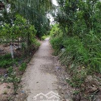 Bán Đất Thổ Cư Giá Rẻ Mặt Tiền Sông Hài Quỳ, Thành Lợi, Huyện Bình Tân