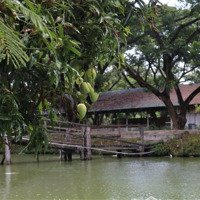 Bán Trang Trại - Khu Du Lịch Sinh Thái Trung Thành Nam