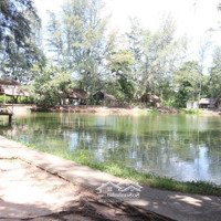 Bán Trang Trại - Khu Du Lịch Sinh Thái Trung Thành Nam