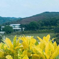 Villa Ivory Hòa Bình, Ô Góc, Hoàn Thiện, Ngắm Núi Cao,400M, 7.2Tỷ