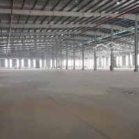 Chủ Cho Thuê 6.000M2 Kho, Xưởng Tiêu Chuẩn Tại Khu Cn Visip, Từ Sơn, Tỉnh Bắc Ninh