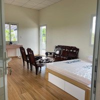 Cắt Lỗ Bán Khuôn Viên Homestay Nghỉ Dưỡng Nhà Sẵn 1200M2 Bình Lợi Bình Chánh Thương Lượng