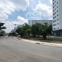 Bán Đất 250M2 Chính Chủ Tại Huyện Bình Chánh