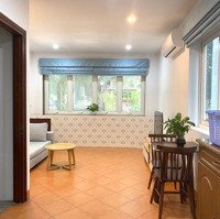 Cho Thuê Chdv Cao Cấp Mặt Phố Nguyễn Huy Tự 70M2 Full Đồ Cao Cấp