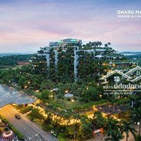 Cần Chuyển Nhượng 350M2 Đất Sổ Đỏ Mặt Hồ Thiên Yến Flamingo Đại Lải