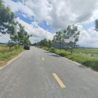 Bán Đất Trục Chính Từ Đường Nguyễn Thị Bích Châu Về Kỳ Thư