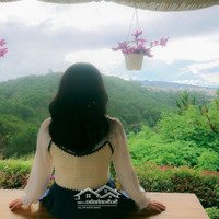 Phòng Trọ Dài Hạn Ở Đà Lạt View Đồi Thông 3 Triệu