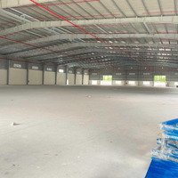 Bán Kho Xưởng Mới Xây 36.000M2 Trong Kcn Sóng Thần 3, Tân Vĩnh Hiệp, Tân Uyên, Bình Dương