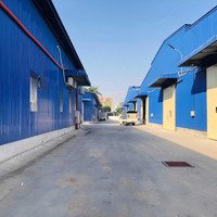 Chính Chủ Cho Thuê 10.000M2 Kho Xưởng Dựng Mới Tại La Phù, Hoài Đức, Hà Nội.