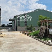 Cho Thuê Xưởng 2000 - 4000M2 Tại Thái Bình Phù Hợp Ngành May Giày Da. Pccc Tự Động Khuôn Viên Rộng