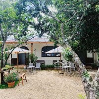 Cho Thuê Mb Homestay, Cafe 1500M2, Phường 7