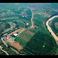 Bán Đất Đẹp - Giá Đầu Tư Tại Xã Đạ Rsal, Huyện Đam Rông, Tỉnh Lâm Đồng