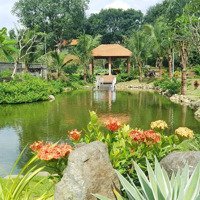 Bán Nhà Vườn Sinh Thái Rộng 6.500M2 Cực Đẹp 6500M2 (Có 300M2 Thổ Cư)