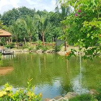 Bán Nhà Vườn Sinh Thái Rộng 6.500M2 Cực Đẹp 6500M2 (Có 300M2 Thổ Cư)