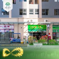 Chỉ Từ 800 Tr/Lô Sở Hữu Shophouse Chân Đế Cho Thuê 10- 15 Triệu/ Tháng