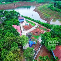 Biệt Thự Nhà Vườn - Homestay View Hồ Trung Tâm Gn