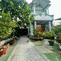 Bán biệt thự nhà vườn Củ Chi, 1 sẹc Hà Duy Phiên Bình Mỹ CC, 300m2. Giá cực rẻ