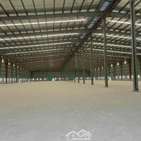 Cho Thuê Nhà Xưởng Long Tân - Dầu Tiếng 17.000M2 Nhà Xưởng Xd