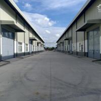 Nhà xưởng 7800m2 KCN Nhơn Trạch 3