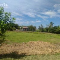 Vị Trí Đẹp Gía Đẹpdiện Tích138M2 1/ Ba Samặt Tiềnđường Xã Phước Hiệp Củ Chi