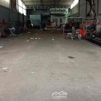 Cho Thuê Mbkdmặt Tiềnhuỳnh Văn Luỹ Đoạn Ko Con Lươn Phú Mỹ Tdm Bd