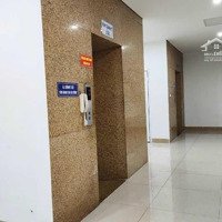 Chính Chủ Bán Gấp Chung Cư A1 Nguyễn Cơ Thạch, 127M2, 3 Ngủ, 2Vs, Nhà Nguyên Bản, Liên Hệ: 0962830896