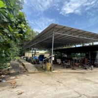 Bán nhà xưởng 2 mặt tiền đường diện tích 60 hécta tại Phước Bình Long Thành Đồng Nai,