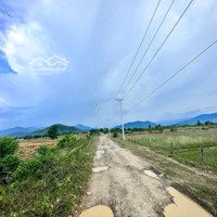 Đất Trang Trại Phước Tiến - Bác Ái, Ninh Thuận | Đầu Tư Sinh Lời Cao