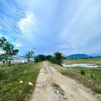 Đất Trang Trại Phước Tiến - Bác Ái, Ninh Thuận | Đầu Tư Sinh Lời Cao